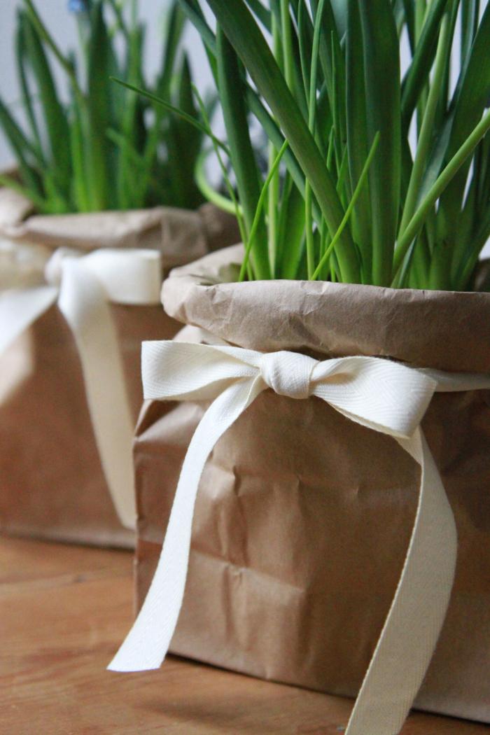 20 possibili riutilizzi dei sacchetti di carta per il pane - greenMe